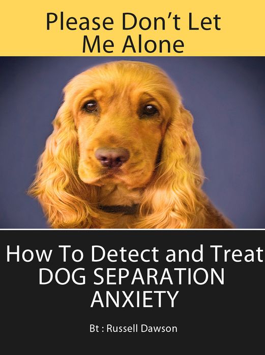 Please Don't Leave Me Alone : How to Detect and Treat Dog Separation Anxiety