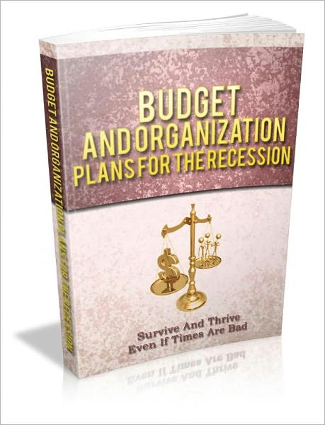 BUDGET AND ORGANIZATION PLANS FOR THE RECESSION
