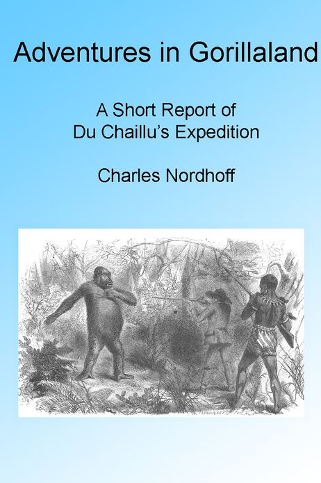Adventures In Gorilla Land Illustrated