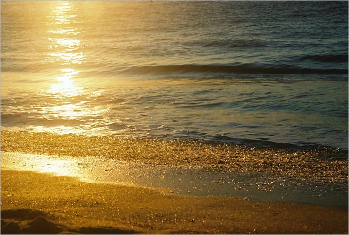 The Golden Horizon