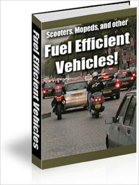 Scooters‚ Mopeds‚ and Other Fuel Efficient Vehicles