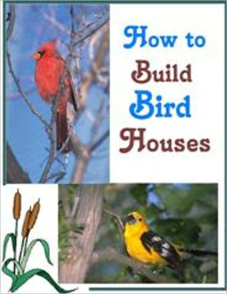 How To Build A Bird House