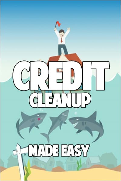 Credit Cleanup Made Easy
