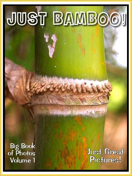 Just Bamboo Photos! Big Book of Photographs & Pictures of Bamboo, Vol. 1