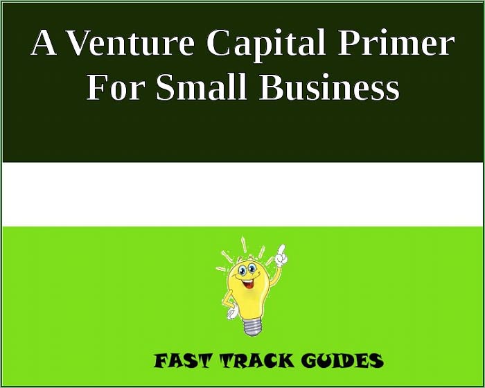 A Venture Capital Primer For Small Business