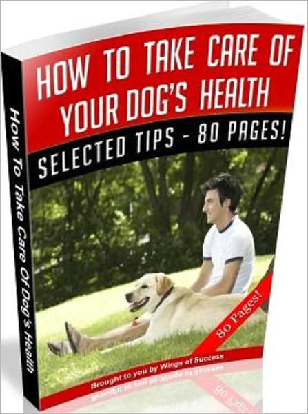 How To Take Care Of Your Dog’s Health
