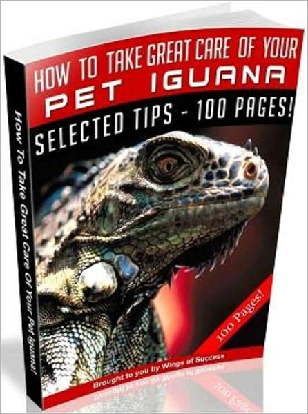 How To Take Great Care Of Your Pet Iguana