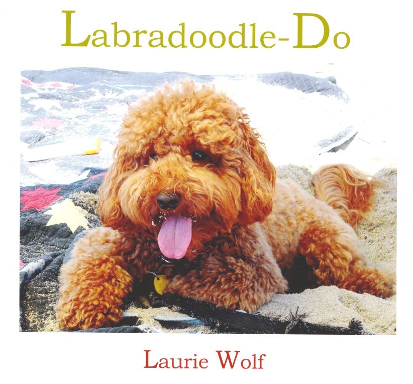 Labradoodle-Do