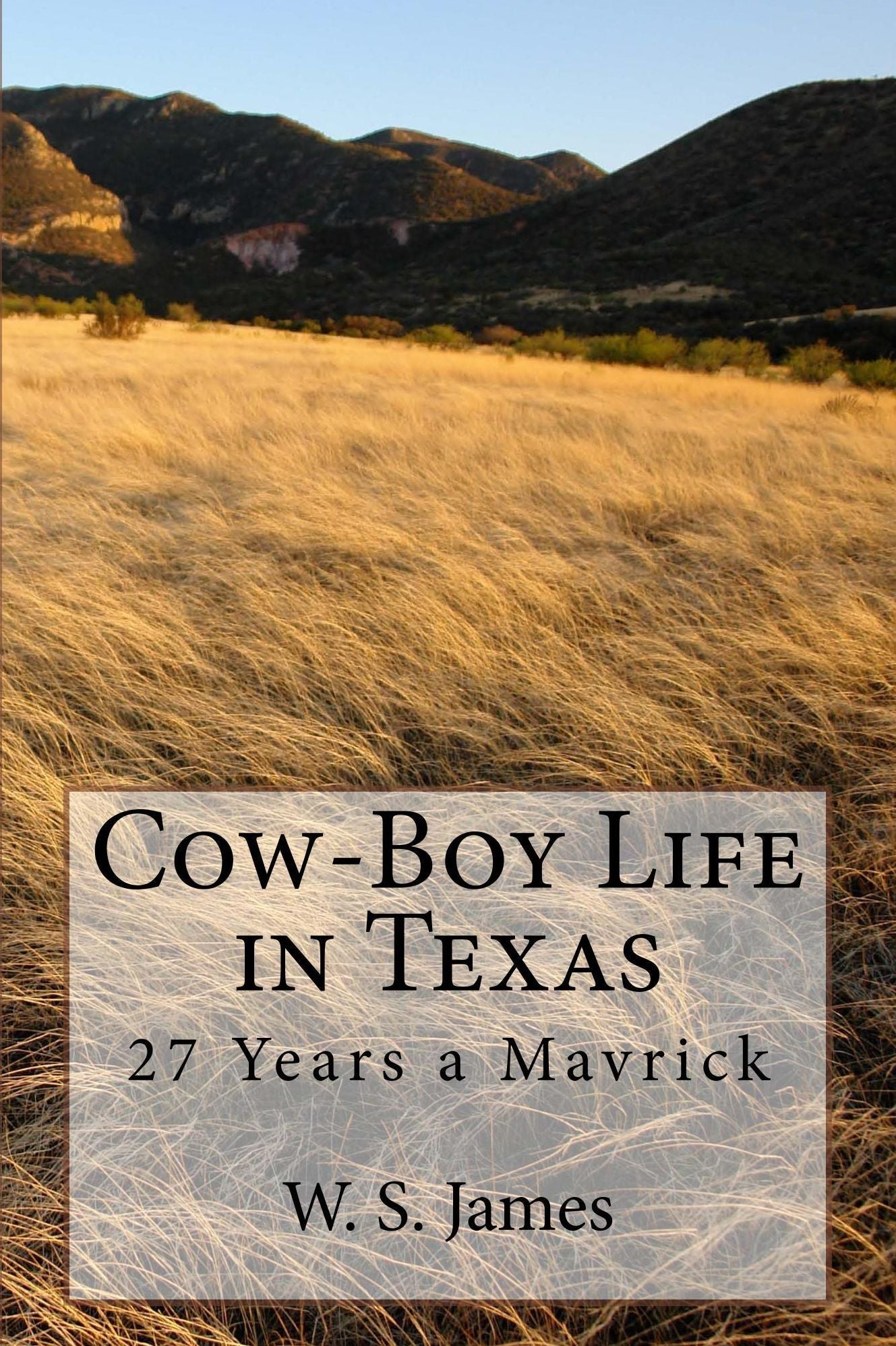 Cow-Boy Life in Texas, or 27 Years a Mavrick (Illustrated Edition)