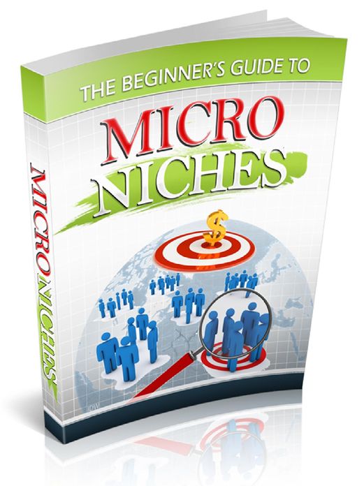 Beginner's Guide to Micro Niches