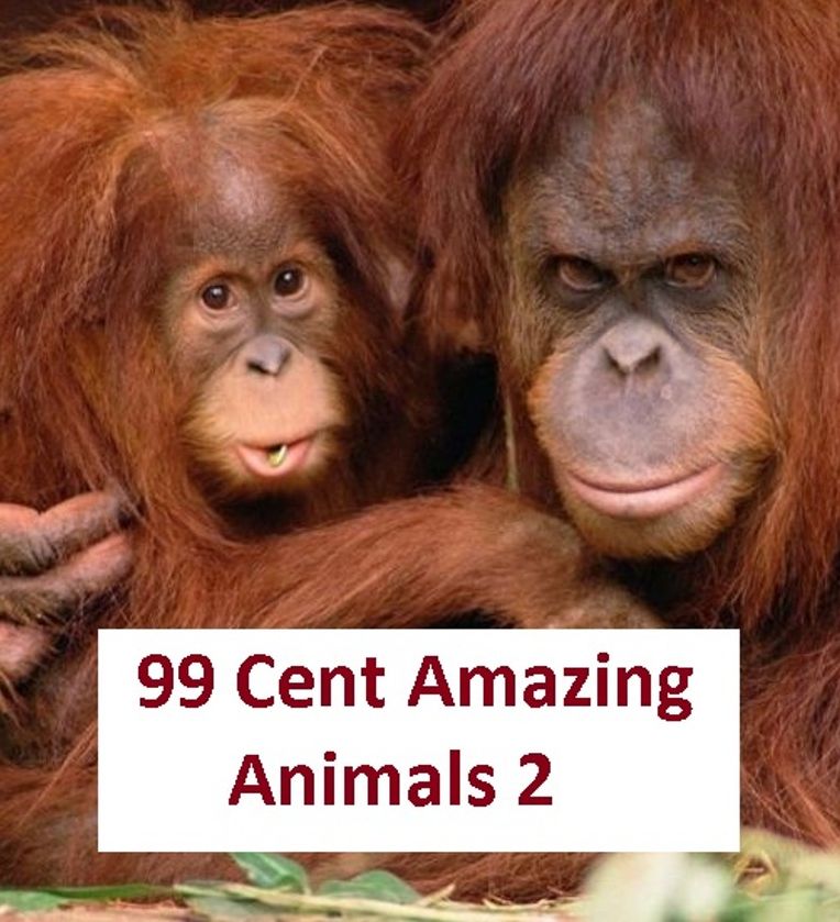 Animals: 99 Cent Amazing Animals 2 (Penguin, wolf, natural world, panda, duck, swan, crow, pig, horse, pony, cow, sheep. eel, cat, dog, wildlife, nature, tiger, lion, bear, shark, elephant, bird, fish, ecology, kids, children)