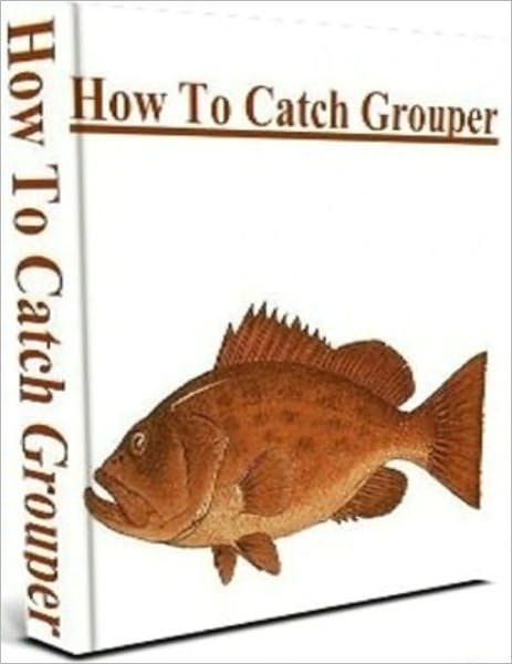 How To Catch Grouper Fish