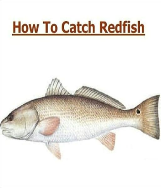 How To Catch a Redfish