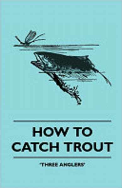 How To Catch Trout