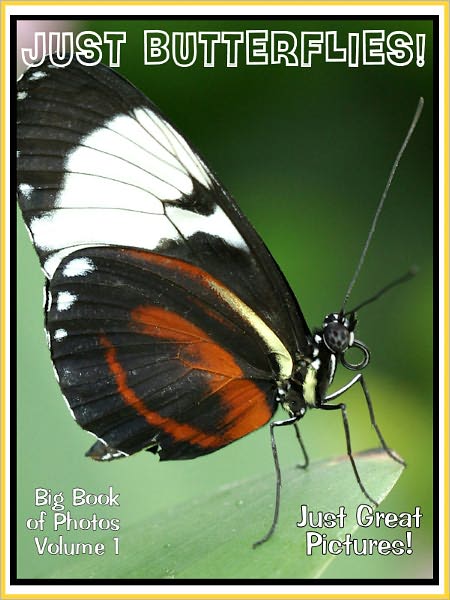 Just Butterfly Photos! Big Book of Photographs & Pictures of Butterflies, Vol. 1