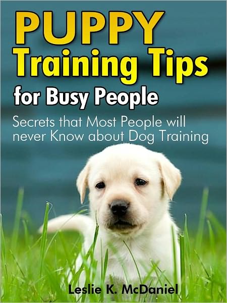 Puppy Training Tips for Busy People: Secrets that Most People Will Never Know about Dog Training