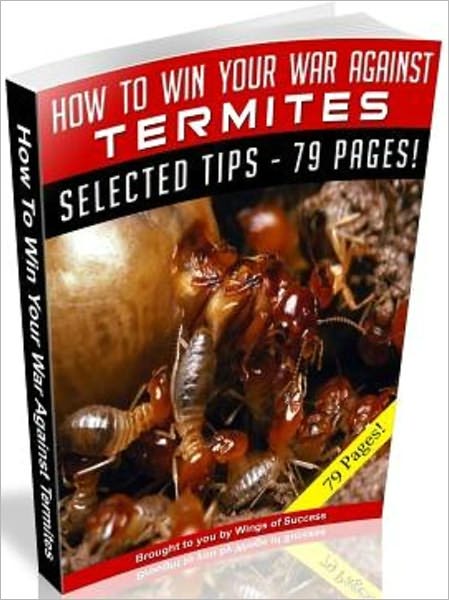 How To Win Your War Against Termites