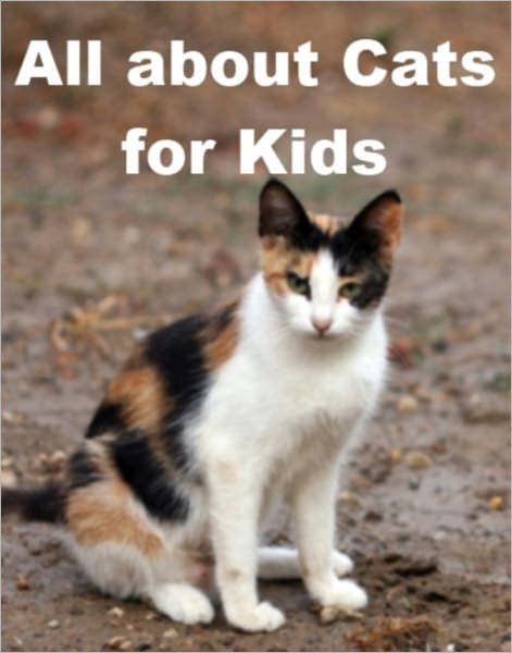 All about Cats