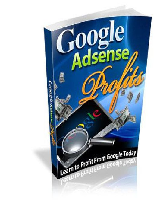 Google Adsense Profits