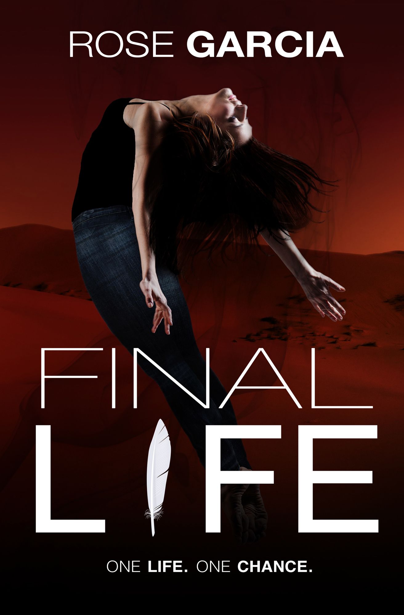 Final Life, a Young Adult Paranormal Romance