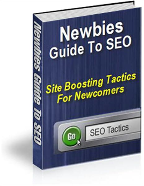 Newbies Guide To SEO