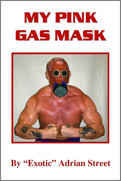 My Pink Gas Mask
