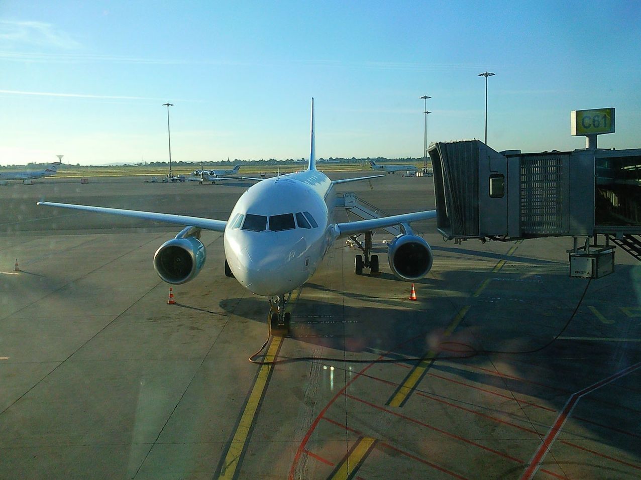 Dealing With Flying Naturally