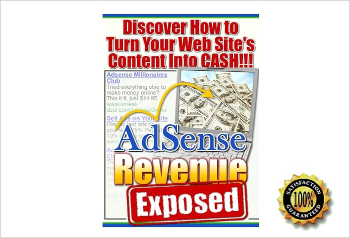 AdSense Revenue Exposed - Discover How to Turn Your Web Site's Content Into CASH!!!