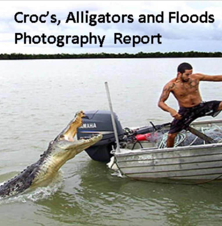 Photography: Crocs, Alligators and Floods Photography Report