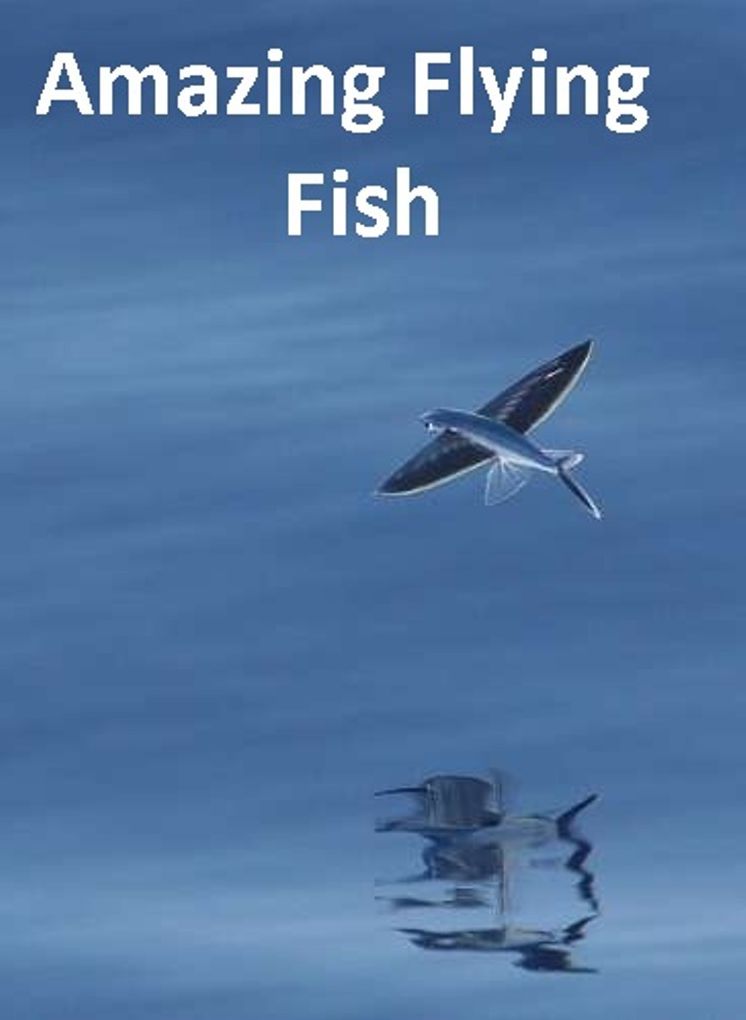 Nature: Amazing Flying Fish