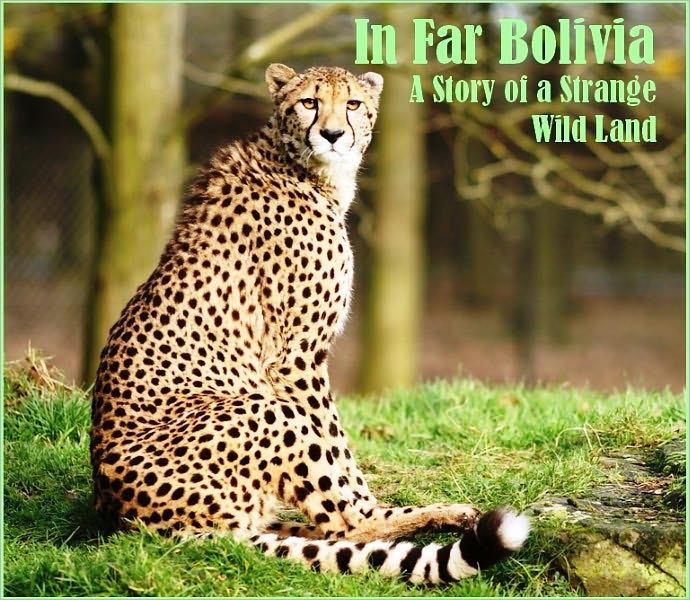 In Far Bolivia: A Story of a Strange Wild Land (Illustrated)