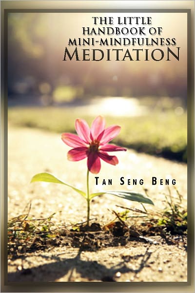 The Little Handbook of Mini-Mindfulness Meditation