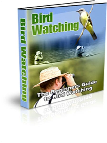 The Beginners Guide to Bird Watching