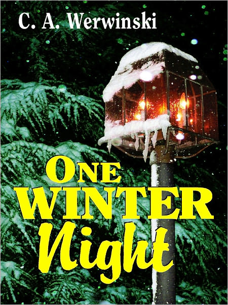 One Winter Night