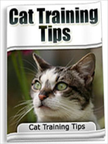 Cat Training Tips