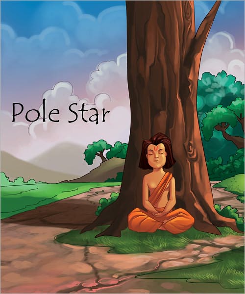 The Pole Star