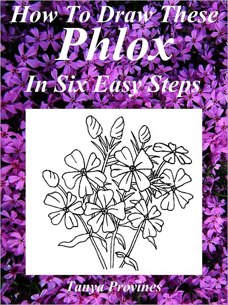 How To Draw These Phlox In Six Easy Steps