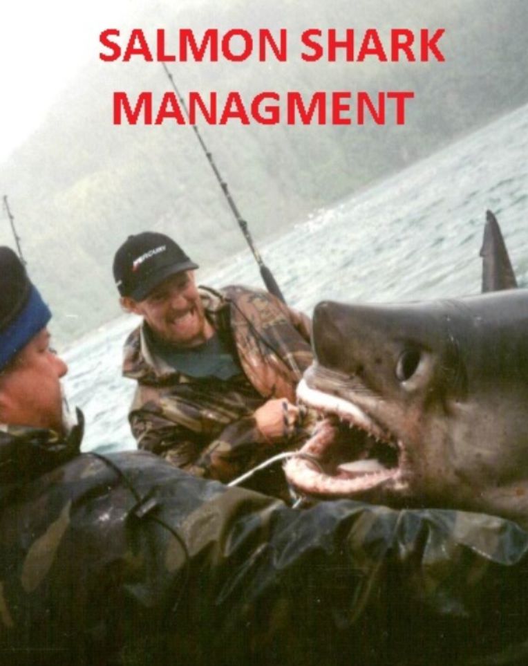 Management & Leadership: SALMON SHARK MANAGEMENT ( rogue, twister, faker, hustler, grafter, shark, fantastic, fanciful, fantastical, visional )