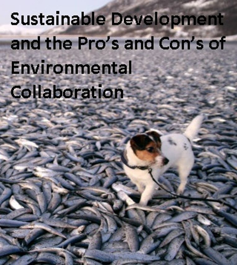 Environmental Politics: Sustainable Development and the Pros and Cons of Environmental Collaboration ( elevation, prosperity, amelioration, melioration, collaboration, co-operation, team-work )