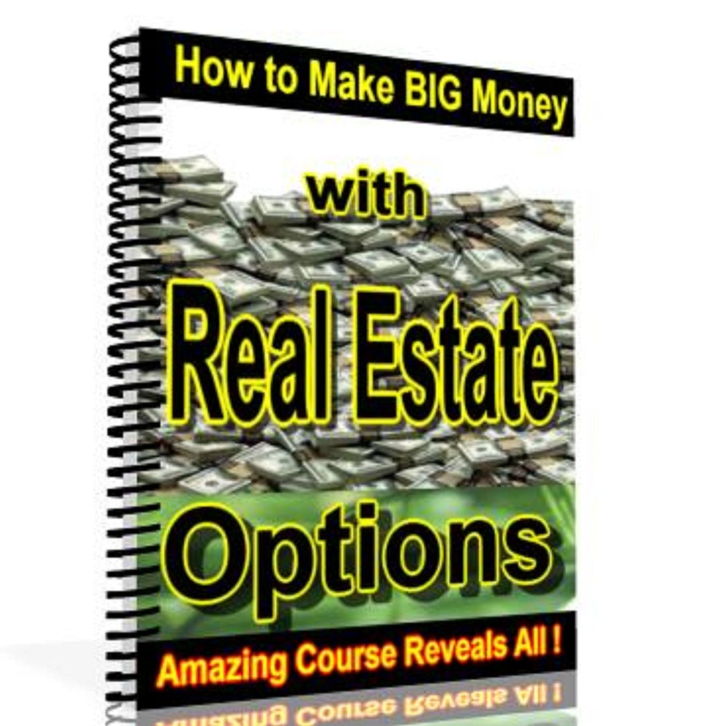 Making Big Money With Real Estate Options
