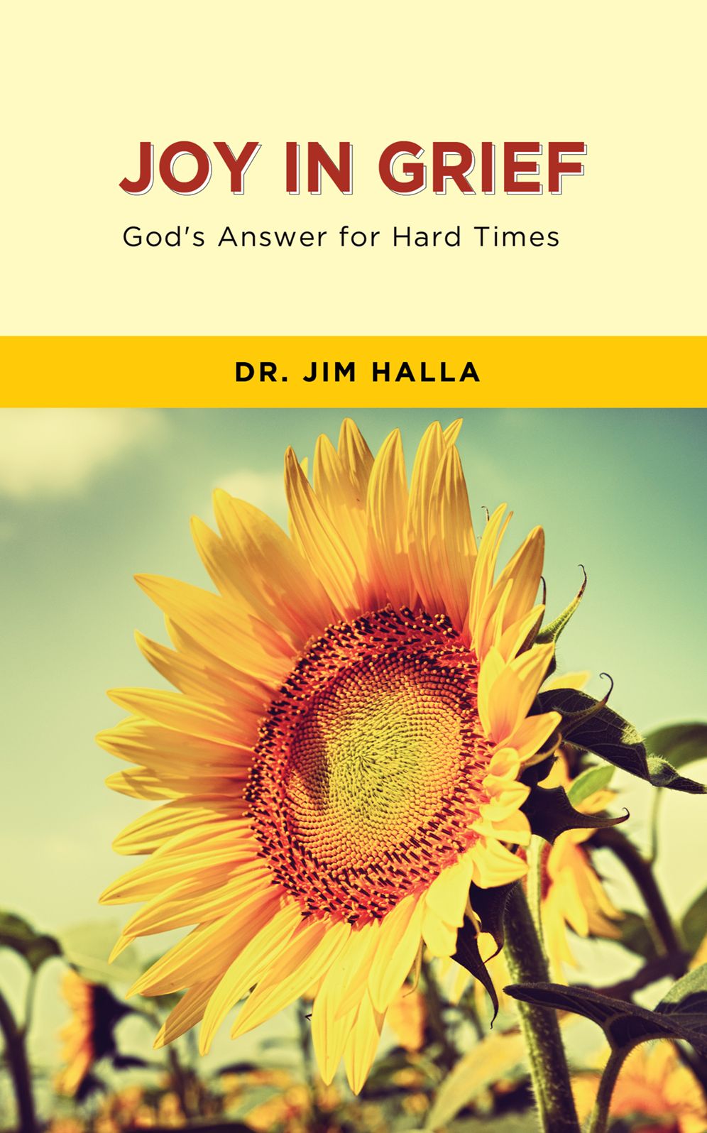 Joy in Grief: God's Answer for Hard Times