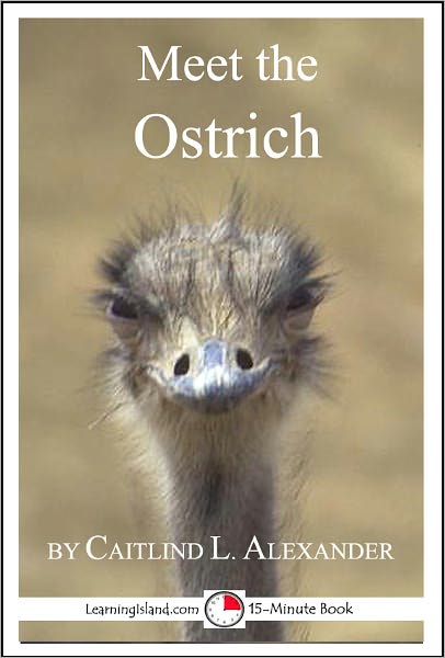 Meet the Ostrich: A 15-Minute Book for Early Readers