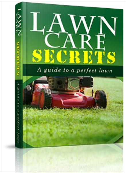 Lawn Care Secrets: A Guide To A Perfect Lawn