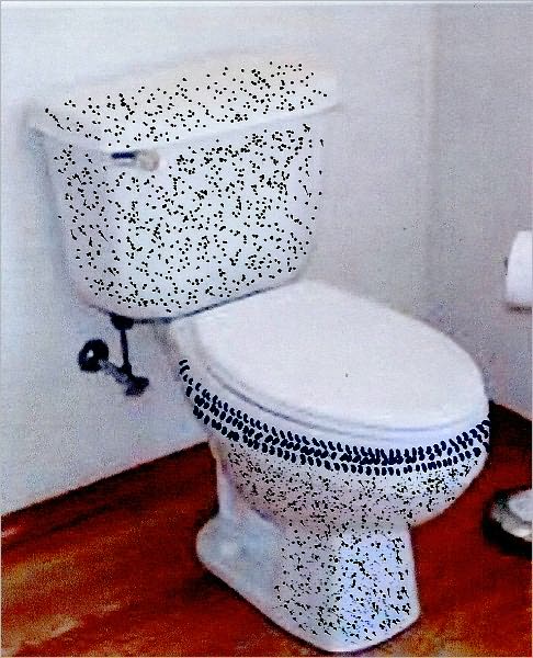 Shag Carpet Toilet