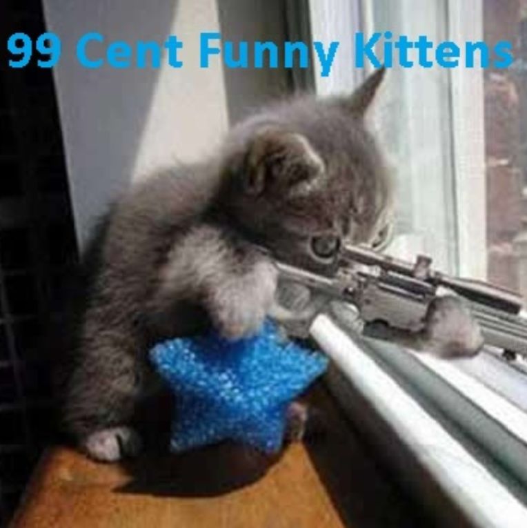 Animals: 99 Cent Funny Kittens
