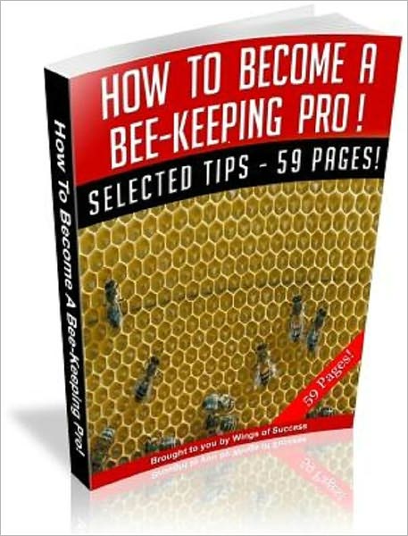 How To Become A Bee-Keeping Pro!