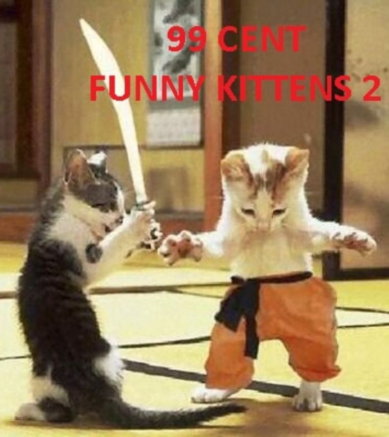 Animals: 99 Cent Funny Kittens 2