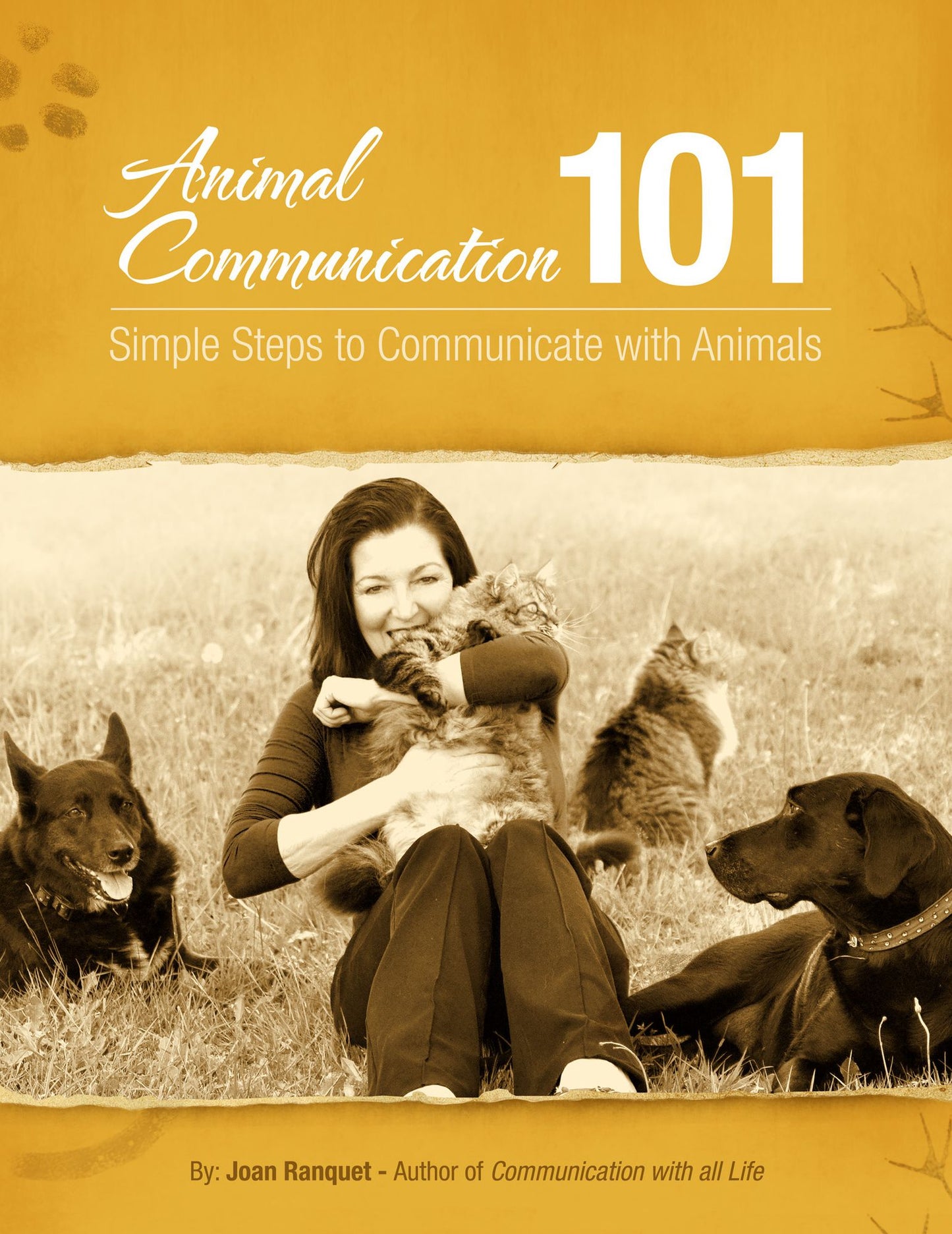 Animal Communication 101, Simple Steps for Communicating with Animals /