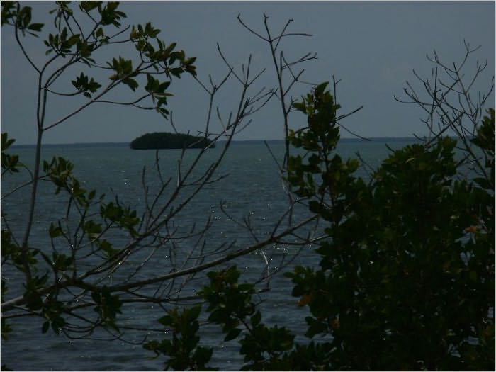Secrets on the Shore