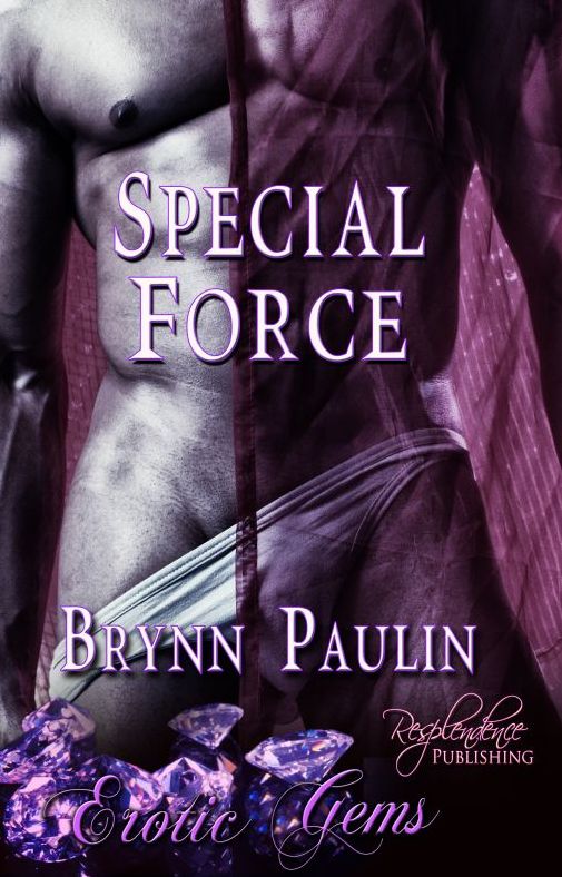 Special Force (Contemporary Erotic Romance)